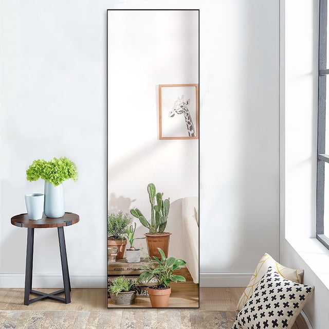 NeuType Full Length Floor Mirror Rectangular Black 51"x16"