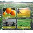 thumbnail image 3 of Amdohai Bird Netting Garden Net Anti Bird Protective Mesh Plants Flowers Fruit, 3 of 9