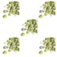 thumbnail image 2 of Maytalsory 400piece Transformer n'Importe Quel Cadre avec de Faux Pétales Scatter Fruits Réutilisables Vert Assorticouleur 5Set, 2 of 6