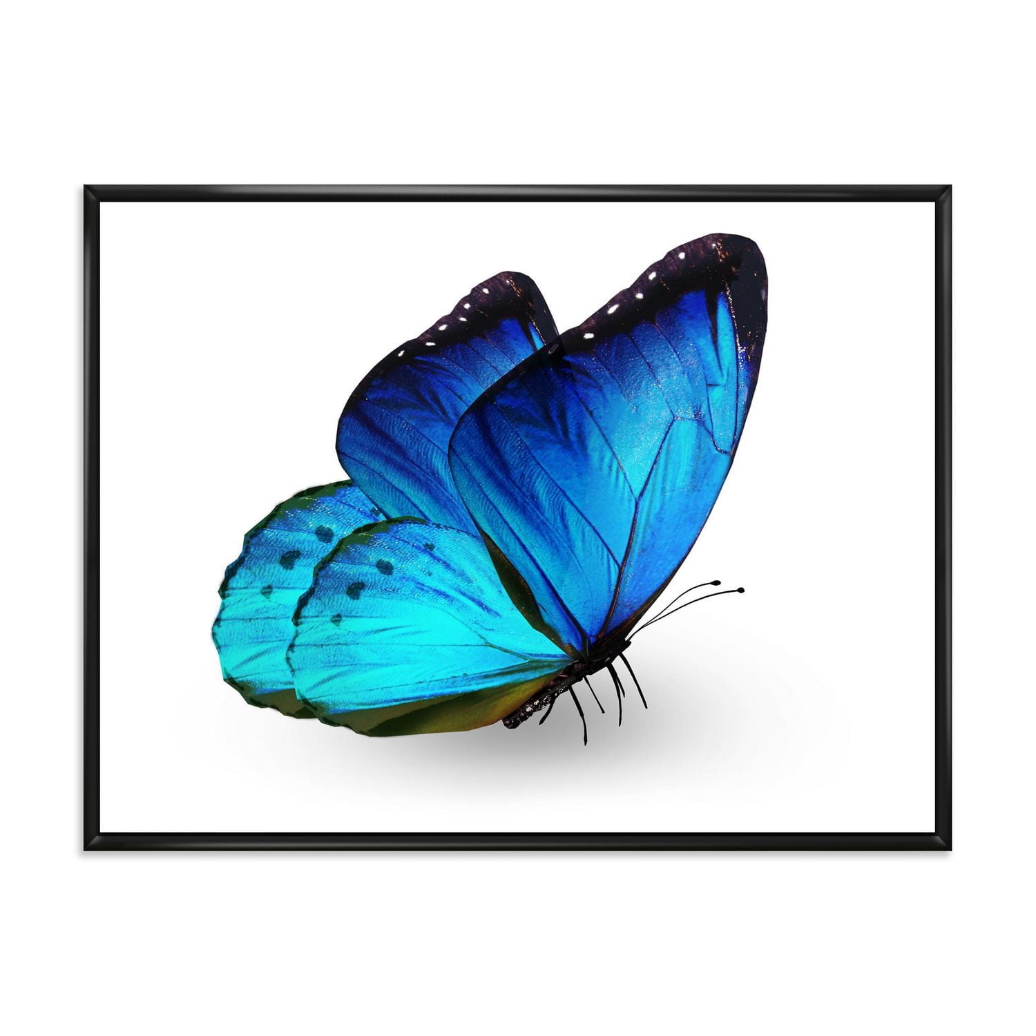 Designart Papillon bleu vibrant ART MURAL À CADRE FLOTTÉ