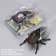 thumbnail image 4 of Fufafayo Jouets d'Insectes Réalistes pour Jeu Éducatif, Collection Interactive d'Insectes, Modèles d'Insectes en Plastique pour l'Apprentissage de la Biologie, Jouets Scientifiques Intérieur Extérieur pour Enfants Décoration de Fête en Classe, 4 of 8