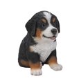 thumbnail image 5 of Hi Line Gift Bernese Mountain Dog Puppy Statue, 5 of 5