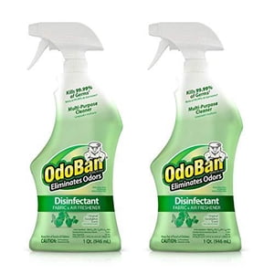 OdoBan Ready-to-Use Éliminateur d'odeur et désinfectant, Eucalyptus Scent original, 2 Bouteilles pulvérisées 32 Fl Oz (paquet de 2)
