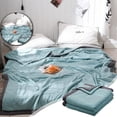 thumbnail image 1 of Dvruxg Lightweight Fall Quilt, Double-Sided Cold Effect Autumn Cooling Comforter, Machine Washable Breathable Cooling Quilt for All Season, 1 of 2