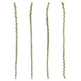 thumbnail image 1 of Vickerman H2LXL115 40-48 in. Spring Green Ladder Branches - Extra Large, 1 of 1