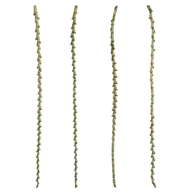 Vickerman H2LXL115 40-48 in. Spring Green Ladder Branches - Extra Large