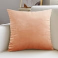 thumbnail image 5 of Dvruxg Velvet Throw Pillow Covers 16x16 Inch - Soft Square Decorative Cushion Cover for Couch, Sofa, 5 of 5