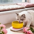 thumbnail image 1 of Distributeur Intelligent de Nourriture pour Chat à Température Contrôlée avec Bol en Céramique Isolé par USB pour Usage Intérieur, Plateau de Repas à Chauffage Automatique, Chauffage Intégré et Station d'Alimentation, Soins pour Animaux, 1 of 3
