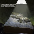 thumbnail image 3 of Reptile Heat Lamp, UVA UVB Full Spectrum Sun Lamp Reptile Heating Light Sunbathe Lizard Heat Lamp Bulb Reptile Heat Bulb  Light Bulb for Reptiles Snake Lizard, 3 of 7