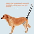thumbnail image 4 of Harnais de Soutien pour Pattes Arrière de Chien, Harnais d'Assistance pour Pattes Arrière de Chien, 2 Pcs Harnais de Soutien pour Pattes Arrière de Chien, Sangle Réglable en Velours Corail Doux, 4 of 7
