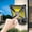 B, variant on SASHENHG Solar Outdoor Lights, Motion Sensor Solar Powered Lights IP65, 3 Modes, Wall Security Lights For Fence Yard Garden Patio