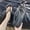 Black, variant on Dvkptbk Sandals Women Flip Flops Sandals Women Men with Comfortable Indoor and Outdoor Thong Sandals Flat Sports Slippers Womens Shoes