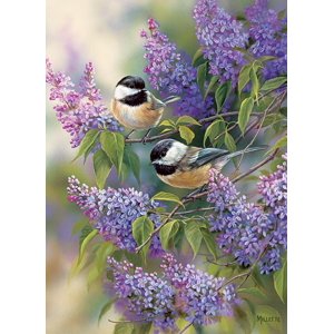 Outset Chickades des médias & Lilas 1000 Pièce Puzzle pour adultes
