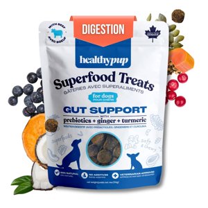 The Healthypup Co – Soutien Gut – Soft Functional Dog Treats avec Prébiotiques & La citrouille, 4-oz sac