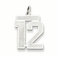 thumbnail image 1 of Sterling Silver Rhodium-plated Medium Satin Number 12 Charm QPM12 (22mm x 18mm), 1 of 2