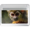 thumbnail image 3 of generic MightySkins Skin Full Wrap Kit for HP Spectre x360 14" 2022 Multicolour, 3 of 4