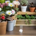 thumbnail image 3 of BRIGHTFUFU 2Pcs Ant Containers Transparent Ant Waterer For Pet Care, 3 of 8