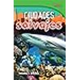 thumbnail image 3 of Shell Education 18056 Ciudades Salvajes - Villes Sauvages, 3 of 4