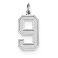 thumbnail image 1 of Sterling Silver Rhodium-plated Large Satin Number 9 Charm QPP09 (25mm x 11mm), 1 of 2