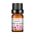 thumbnail image 1 of EGNMCR Humidifiers for Bedroom Aromatherapy Plant Water Soluble Humidifier Car Aromatherapy Essential Oil 10ml Humidifier aromatherapy, 1 of 1