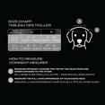 thumbnail image 3 of One Paw, Dog Bucket Hat, Sun Protection, Blocks UV Rays, Blue, for Dogs, 3 of 9
