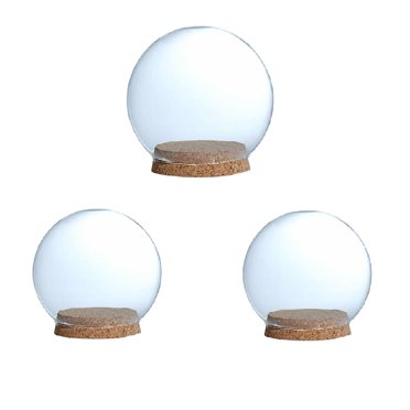 veasfak 3 Pcs Glass Cloche Bell Jar Dome Flower Preservation Vase with Wooden Base