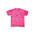 thumbnail image 1 of Dyenomite - Cyclone Pinwheel Tie-Dyed T-Shirt, 1 of 1