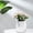 Clear, variant on Uuiauoio Self Watering Planters 4.13x4.33in Self Watering Pots for Indoor Plants, African Violet Pots, Flowers, Succulents, Herb, House Plants
