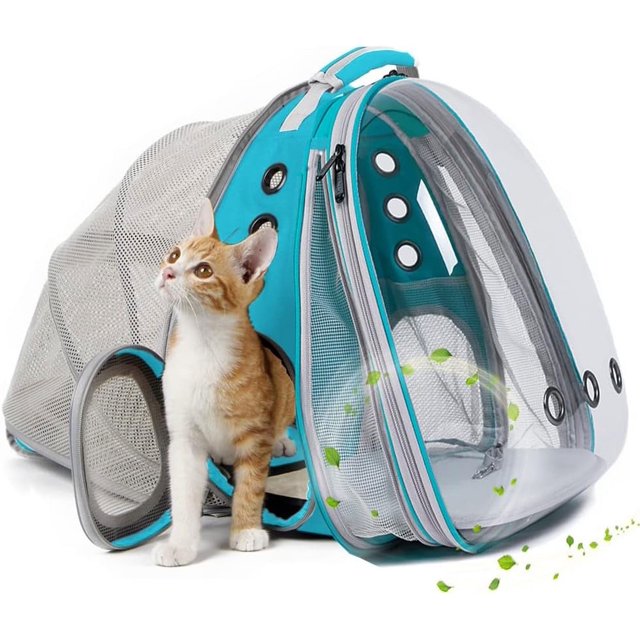 Sac à Dos Transporteur pour Chat à Double Extensible, Convient jusqu'à 20 Lb, Sac à Dos Transporteur pour Animal de Compagnie Extensible pour Grand Chat Dodu et Petit Chiot