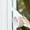 self adhesive foam strip Under $5 a3, variant on CQCYD 2Pcs Weather Stripping Tape Door Window Seal, Self Adhesive Foam Insulation Strip, Windproof Soundproof Gap Blocker for Kitchen Glass Frame, Hand Tear Cut to Fit, 2in x 10ft Gray White