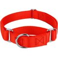 thumbnail image 1 of Country Brook Petz Martingale Dog Collar - Heavy-Duty Training Collar with No Buckle - Service Dog Collar for All Pups - Vibrant, Colorful Collection (Hot Orange, 3/4 Inch, Small), 1 of 8