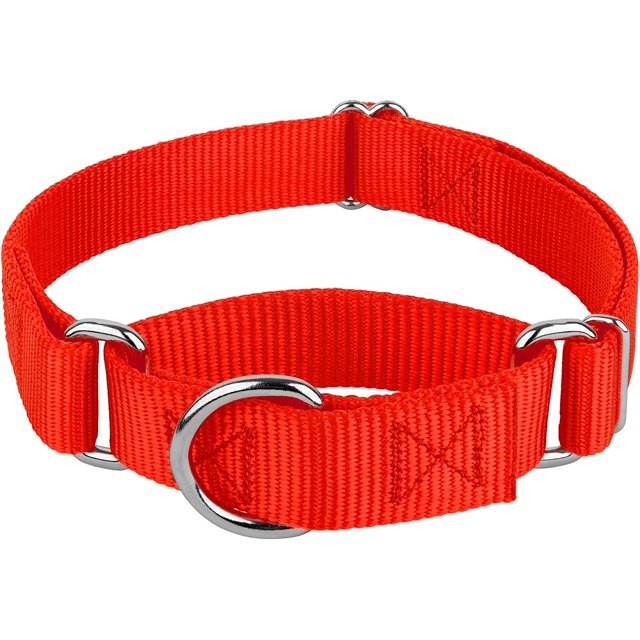 Country Brook Petz Martingale Dog Collar - Heavy-Duty Training Collar with No Buckle - Service Dog Collar for All Pups - Vibrant, Colorful Collection (Hot Orange, 3/4 Inch, Small)