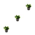 thumbnail image 4 of Decodeary Green Eco-friendly Artificial Money Tree In Pot Long-lasting Durability Realistic Appearance new whitebabysbreath 3Set, 4 of 6