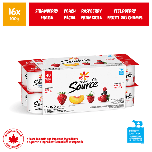 Yoplait Source 0 % Assortiment de Coupes de Yogourt Lisse Traditionnel, Sans Sucre Ajouté, 16x100g