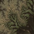 thumbnail image 1 of Ahgly Company Tapis d'Intérieur Lavable en Machine Carré Transitionnel Chêne Brun, 7 Pieds Carré, 1 of 7