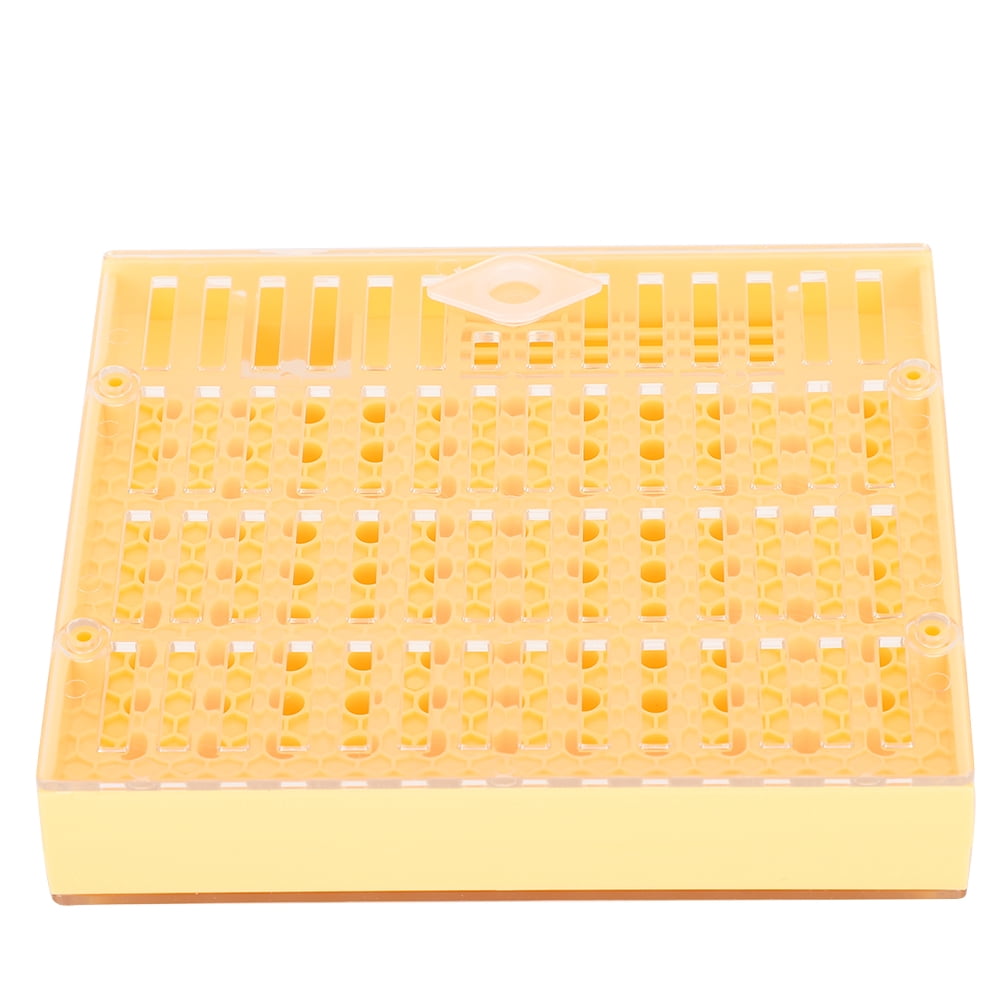Bee King Incubator, Beekeeping Tool Bee King Bee King Breeding Tool, Plastic For Bees Birds Animals Pets
