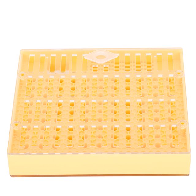 Bee King Incubator, Beekeeping Tool Bee King Bee King Breeding Tool, Plastic For Bees Birds Animals Pets