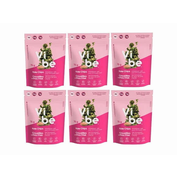 Vibe Kale chips Salt Himalaya and Chickpea Miso