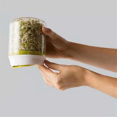 thumbnail image 4 of Countertop Sprouters Sprout Growing Kit Reusable Household Kitchen Bean Plants Sprouting System Seeds Container Supplies, 4 of 7