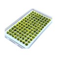 thumbnail image 1 of jifeng Artificial DIY Miniature Flower Cluster Grass Tufts Diorama Layout Scenery Model Light Yellow, 1 of 9