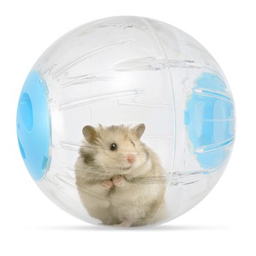 BRIGHTFUFU PC Hamster Running Ball Hamster Running Ball Sky Blue Indoor Play 1Pcs