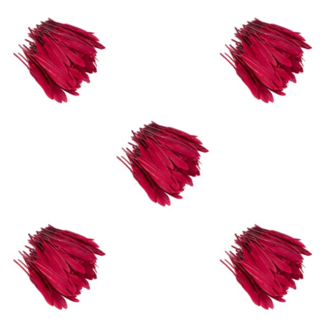 Maytalsory 100x DIY Boho Style Wild And Colorfast Feathers For Crafts Tear-resistant Burgendy 5Set