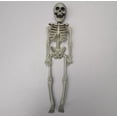 thumbnail image 2 of Poseable Full Life Size Human Skeleton Halloween Decoration Party Prop, 2 of 2
