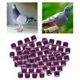 thumbnail image 2 of Yingyy 100 Pcs 2022 Anneaux de Pied de Pigeon de Course en Aluminium Dove Entraînement des Chiffres 8 mm Violet, 2 of 8