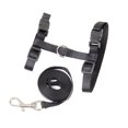 thumbnail image 2 of Adjustable Pet Cat Kitten Belt Collar Harness Safety Strap with Leash Traction Rope (Black), 2 of 6