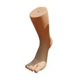 thumbnail image 4 of Mannequin Feet Model Jewelry Display Stand Sock Display for Shop Shoes Socks skin color right, 4 of 8