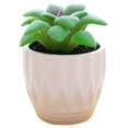 thumbnail image 1 of Coofit Mini Potted Succulent Lifelike - Artificial Plant Faux Succulent in Pot for Home, 1 of 4