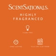 thumbnail image 4 of ScentSationals Scented Wax Cubes - Dreamsicle Cream, 4 of 5