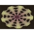 thumbnail image 1 of Ahgly Company Tapis d'Intérieur Lavables en Machine Rectangulaires Transitionnels Brun Cuivre, 2' x 4', 1 of 7