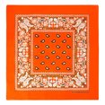 thumbnail image 2 of Basico Bandanas pour la Tête en Coton 100 %, Lot de 12, 2 of 9